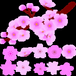 桃花春天PSD