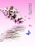 桃花春天PSD