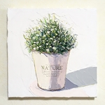 日常物品油画花盆花卉
