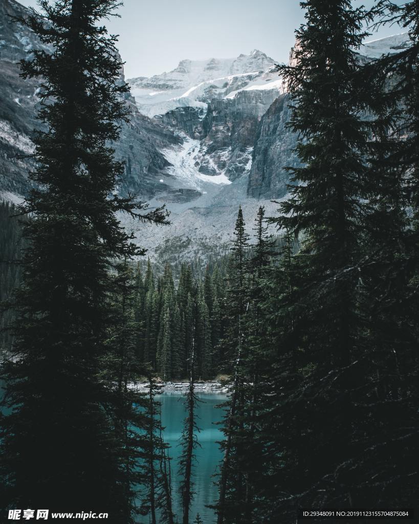 山林