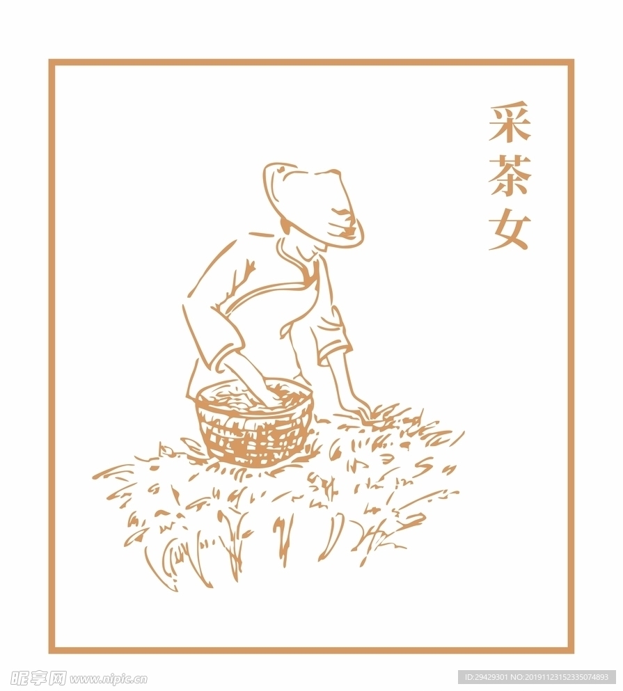 采茶女 采茶 采茶工艺