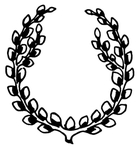 花纹