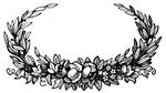 花纹