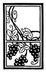 花纹
