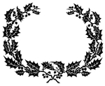 花纹