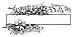花纹