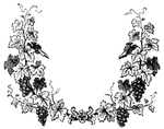 花纹