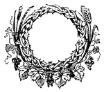 花纹