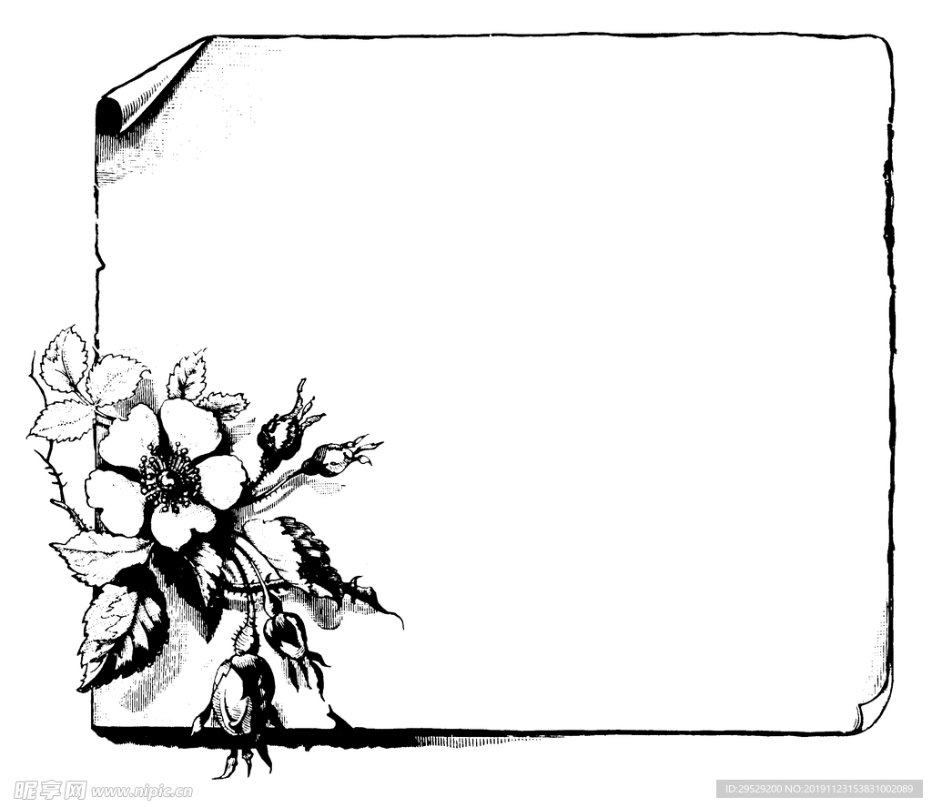 花纹