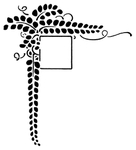 花纹
