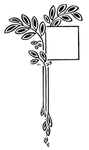 花纹