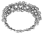 花纹