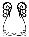 花纹