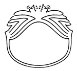 花纹