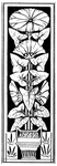 花纹