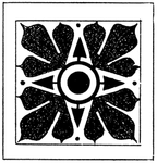 花纹