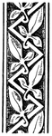 花纹
