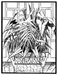 花纹