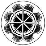 花纹
