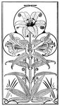 花纹