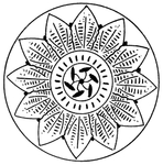 花纹