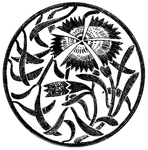 花纹