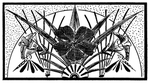 花纹