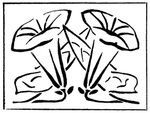 花纹