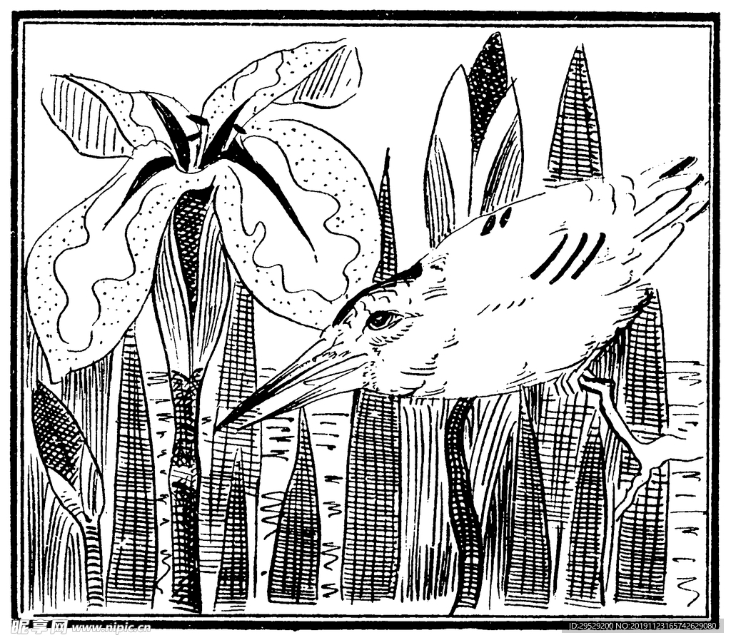 花纹
