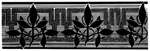 花纹