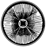 花纹