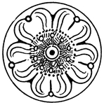 花纹