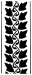 花纹