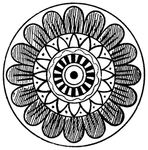 花纹