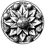 花纹