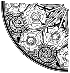 花纹