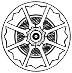 花纹
