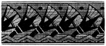 花纹