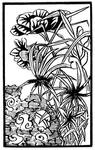 花边