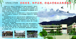 美丽校园展板