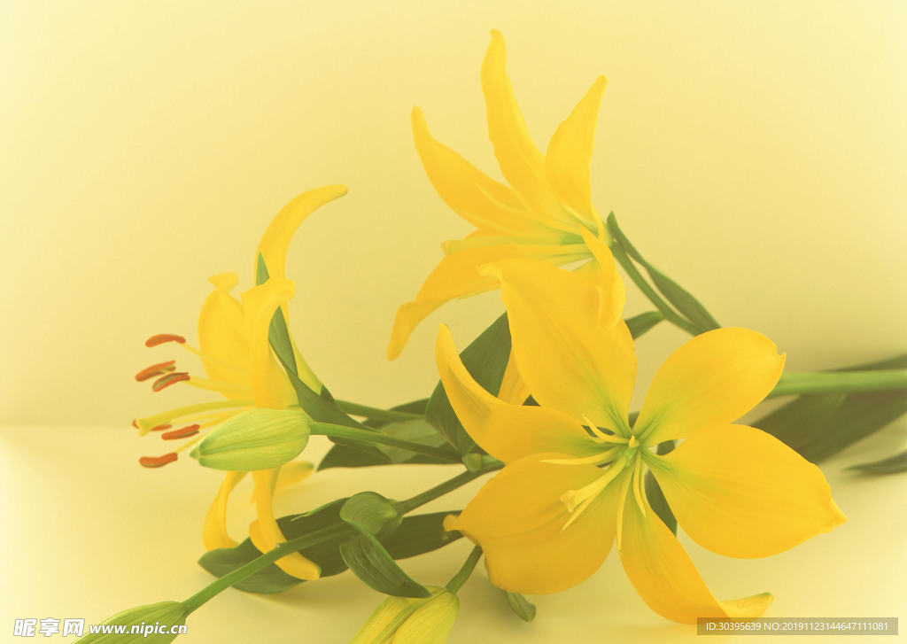 鲜花