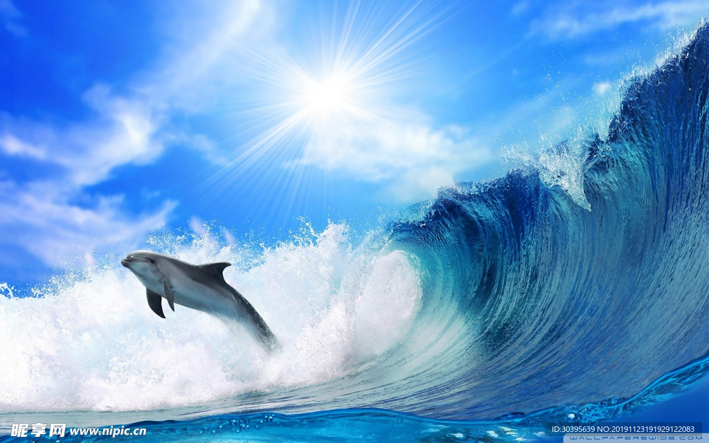 海底世界