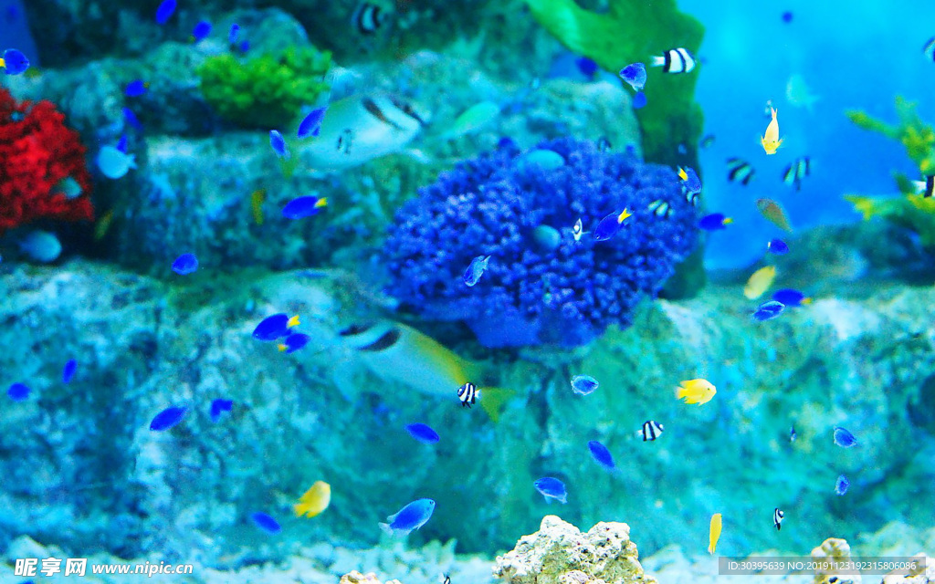 海底世界