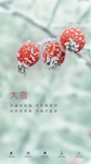 大雪