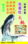 水库鱼海报