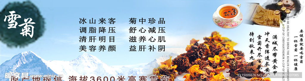 雪菊