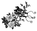 锦上添花