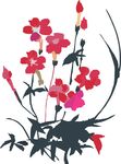 花卉