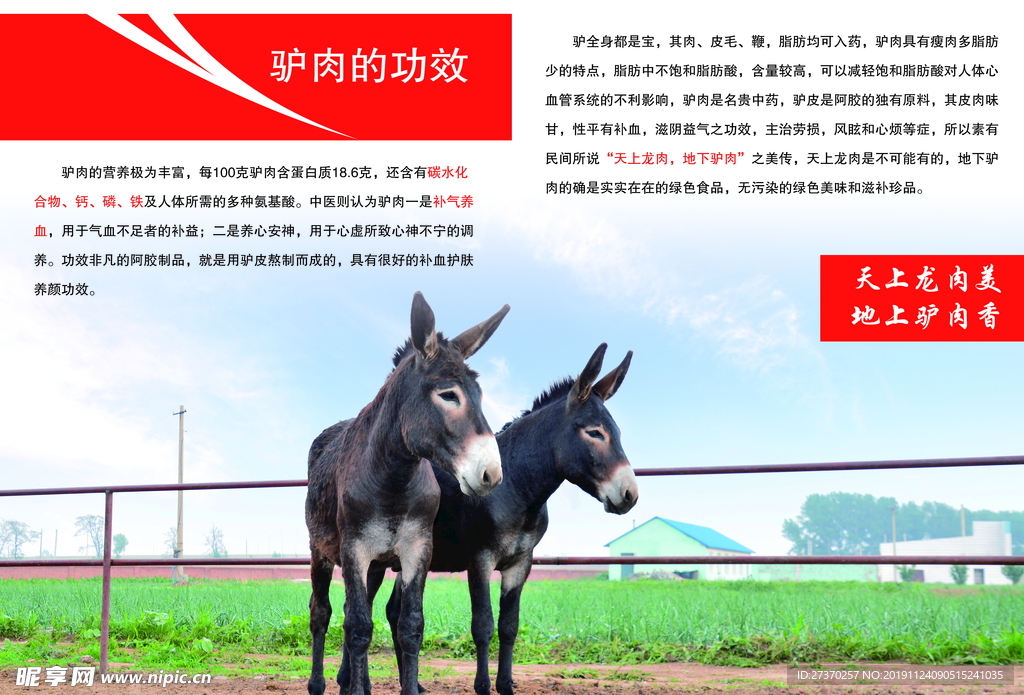 企业手册