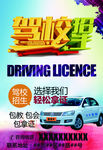 驾校招生